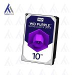 هارد وسترن بنفش 10 ترابایت مدل Purple WD100 PURZ - Image 2